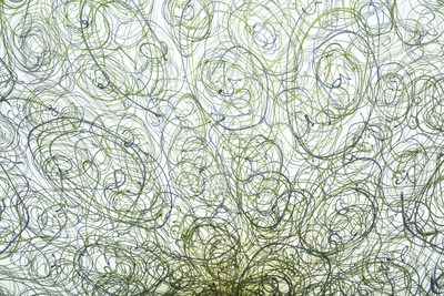Michael Schunke and Josie Gluck, "Straw Scribble," handblown glass sculptural vessel with glass pattern.